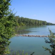 Centre d'observation de la nature de l'île du Beurre