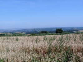 Aire de stationnement Saint-Romain-En-Gal / Le Grisard