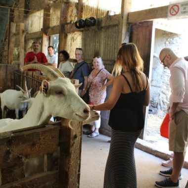 © Excursion dans le vignoble de Condrieu au départ de Vienne - <em>DR / Rhône trip</em>