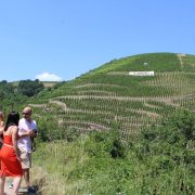 © Excursion dans le vignoble de la vallée du Rhône Nord - <em>DR Rhône trip</em>