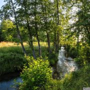 © Espace Naturel Sensible des prairies inondables de Pont-Évêque - <em>Bertrand Bodin/Département de l'Isère</em>