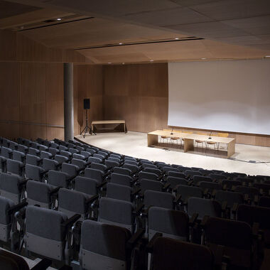 Auditorium du musée et sites gallo-romains de Saint-Romain-en-Gal