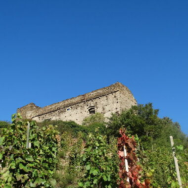 © château des Archevêques - <em>(c) NCombe</em>