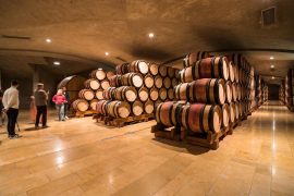 Dégustations de vins au Caveau du Château