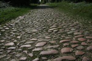 Chemin des vieux pavés