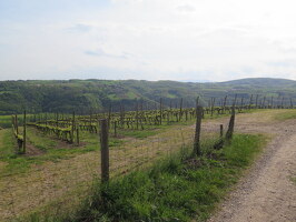 Les balcons du Pilat rhodanien à vélo