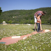 © Base de loisirs Wam Park Lyon Condrieu - minigolf - <em>Wam Park</em>