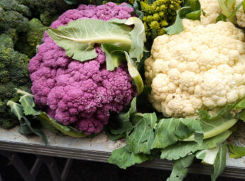 Marché-de-Vienne